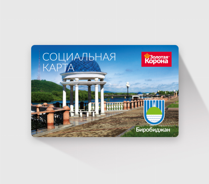 Микропроцессорные пластиковые социальные карты с чипом для бесконтактной оплаты в общественном транспорте